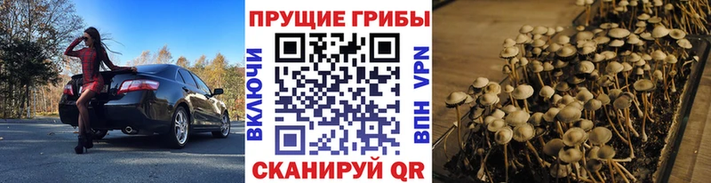 Галлюциногенные грибы прущие грибы Сим